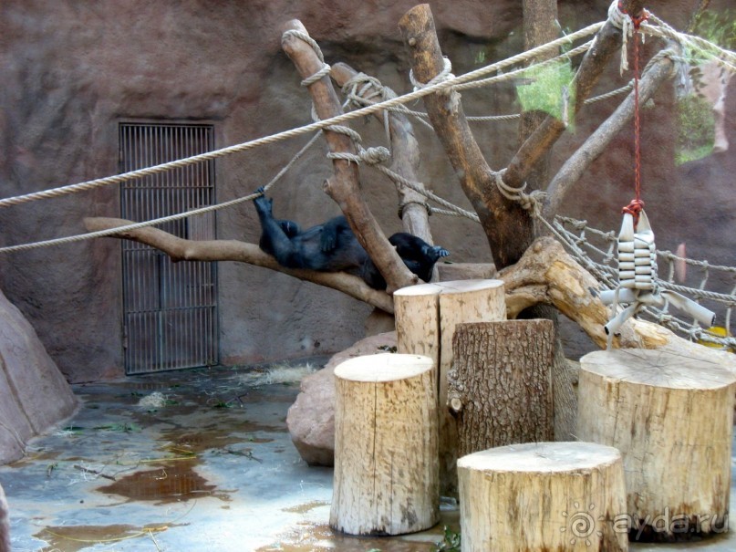 Очень советую посетить. Особенно с детьми!