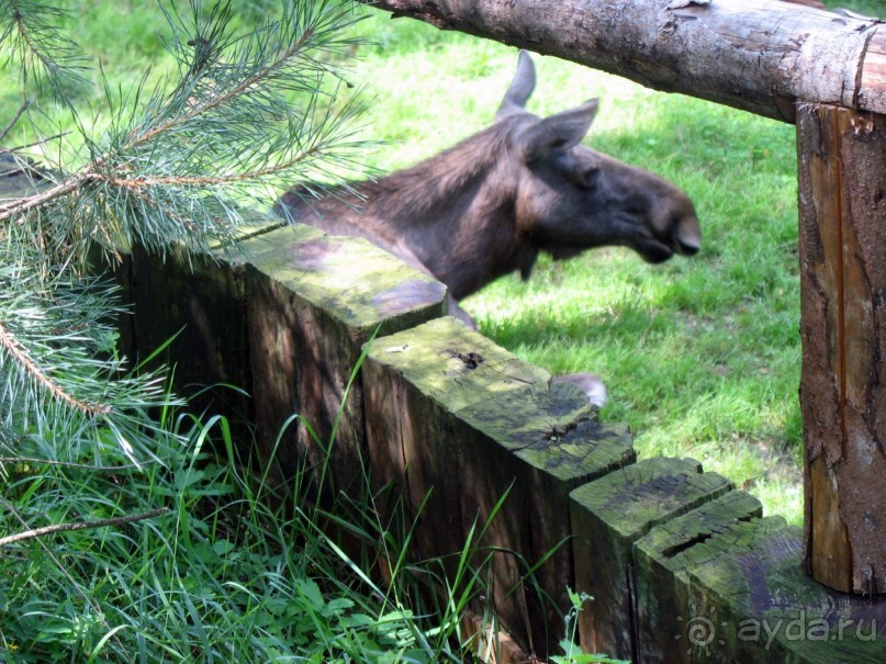 Очень советую посетить. Особенно с детьми!
