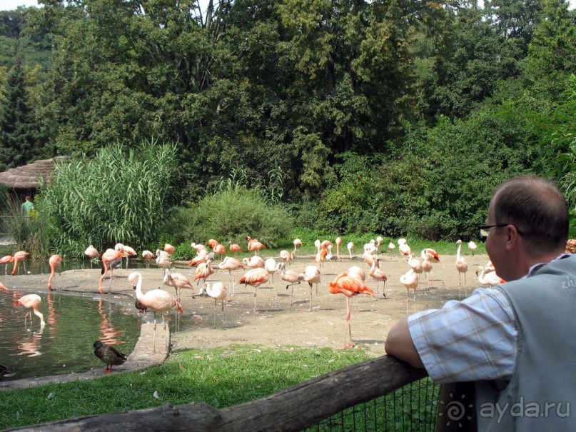 Очень советую посетить. Особенно с детьми!