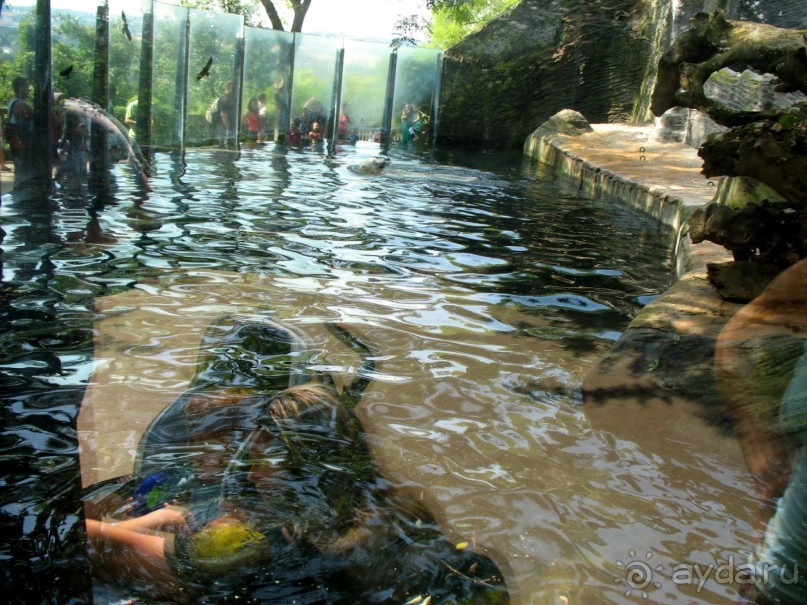 Очень советую посетить. Особенно с детьми!