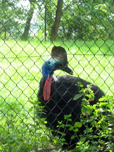 Очень советую посетить. Особенно с детьми!