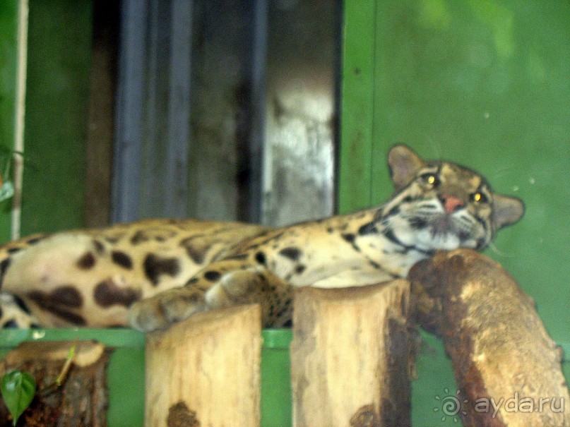 Очень советую посетить. Особенно с детьми!