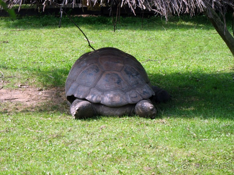 Очень советую посетить. Особенно с детьми!