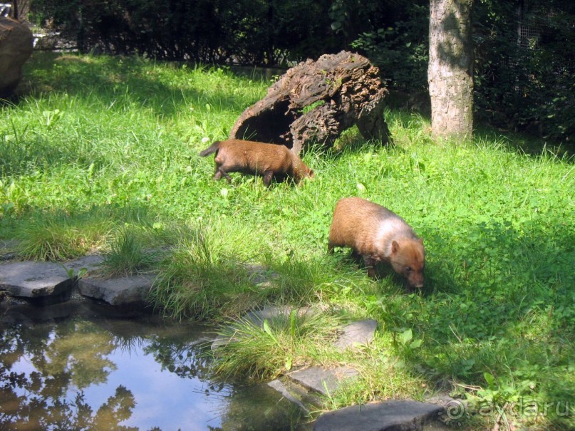 Очень советую посетить. Особенно с детьми!
