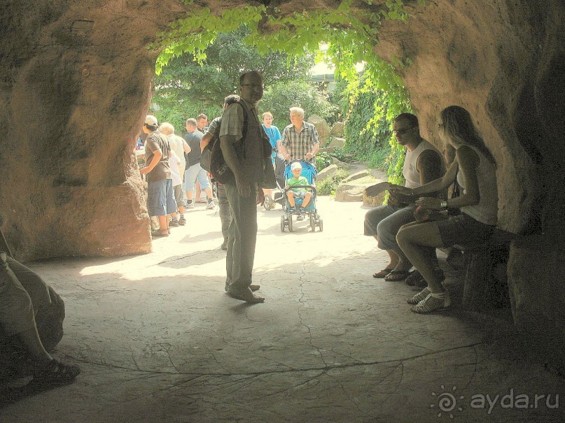 Очень советую посетить. Особенно с детьми!