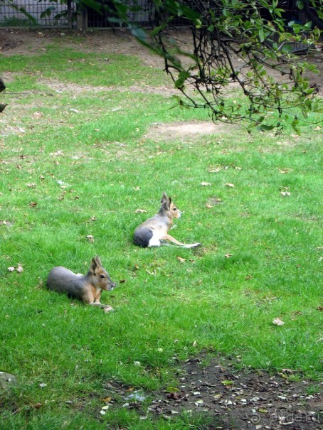 Очень советую посетить. Особенно с детьми!
