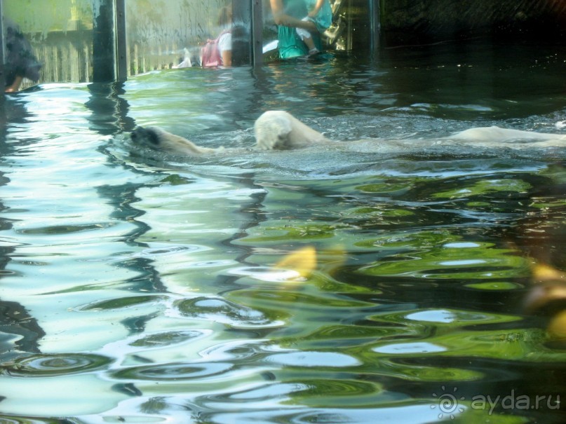 Очень советую посетить. Особенно с детьми!