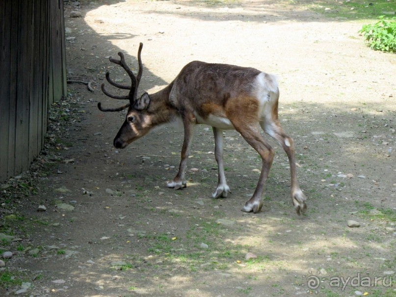 Очень советую посетить. Особенно с детьми!