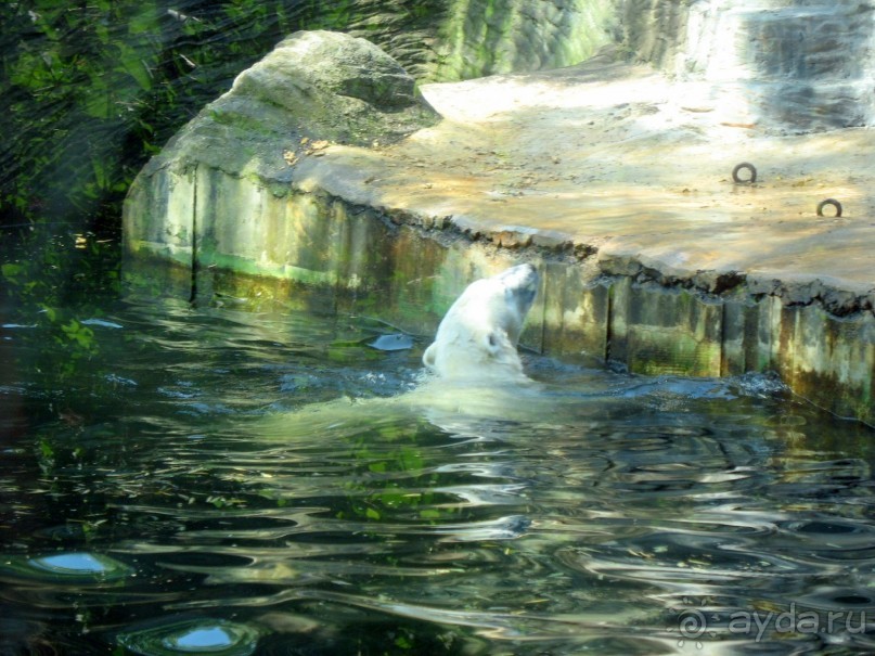 Очень советую посетить. Особенно с детьми!