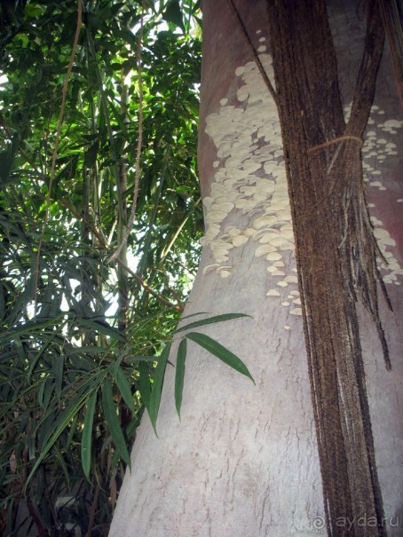 Очень советую посетить. Особенно с детьми!