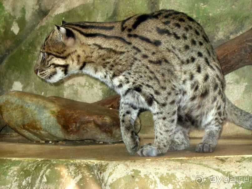 Очень советую посетить. Особенно с детьми!