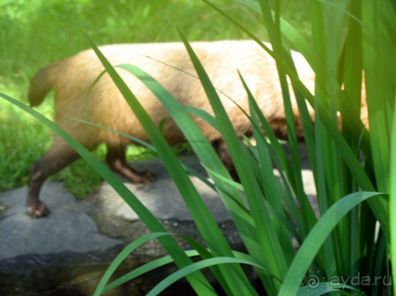 Очень советую посетить. Особенно с детьми!