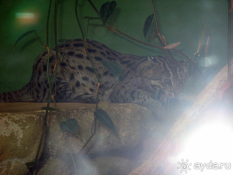 Очень советую посетить. Особенно с детьми!