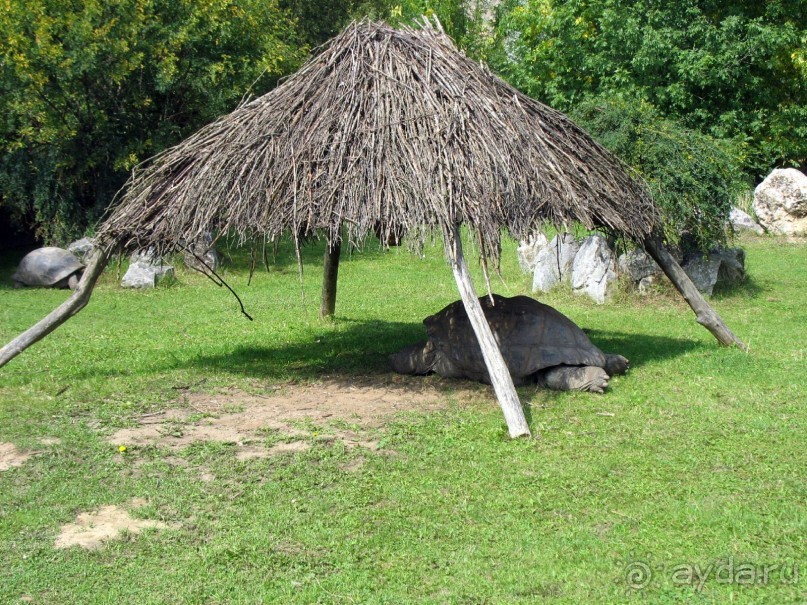 Очень советую посетить. Особенно с детьми!