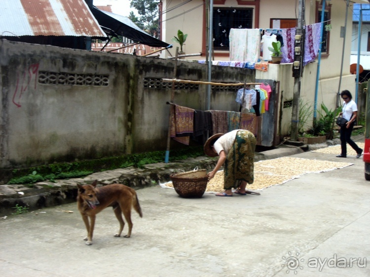 Полдня в Бирме (Мьянме)