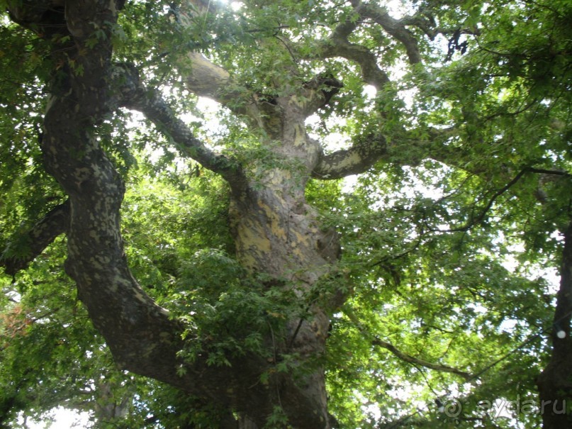 Крит-Скандия. Лабиринт.Пещера Зевса.