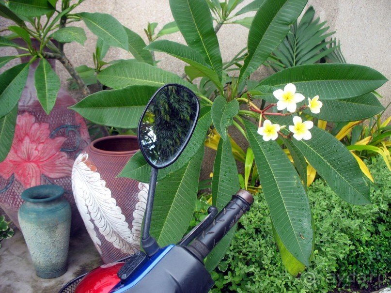 фото Grand Jomtien Palace