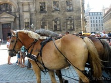 Дрезден и саксы. Цвингер. 