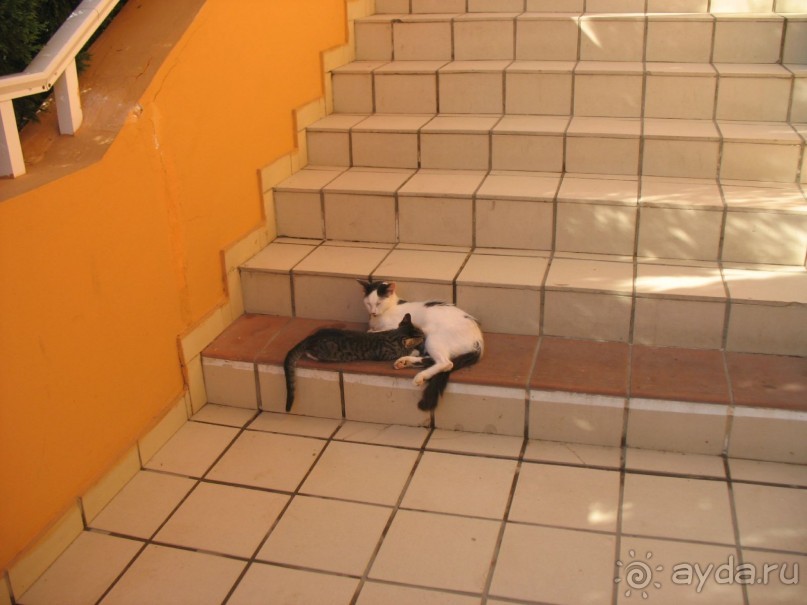 Очень приличный отель Роял Империал Белведере, персонал приучен к порядку