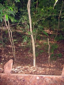  Ангкор. Греко-буддизм в Камбодже. Задворки Империи?