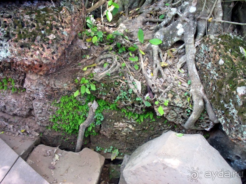 Великолепный Ангкор. Что не расскажут гиды.