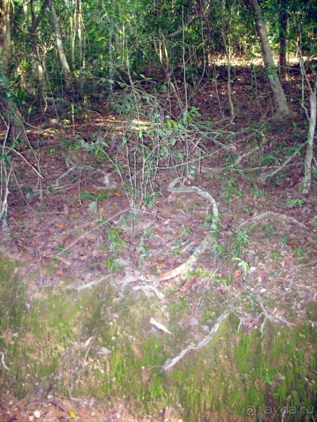 Великолепный Ангкор. Что не расскажут гиды.