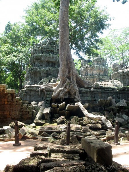 Великолепный Ангкор. Что не расскажут гиды.