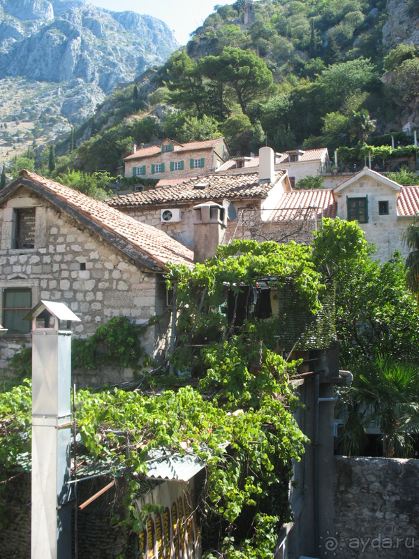 Герцег-нови, Котор.