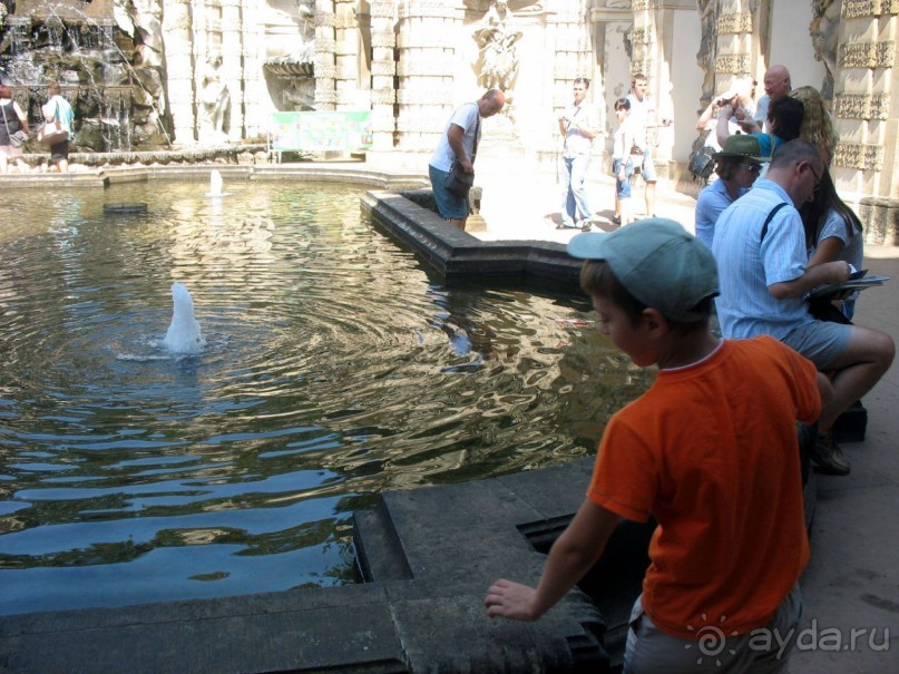 Сердце Дрездена.