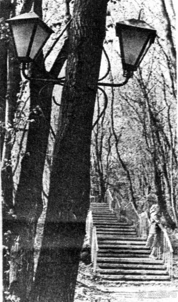 Вообще то я был в 1981 во второй заезд и в 1983 ле