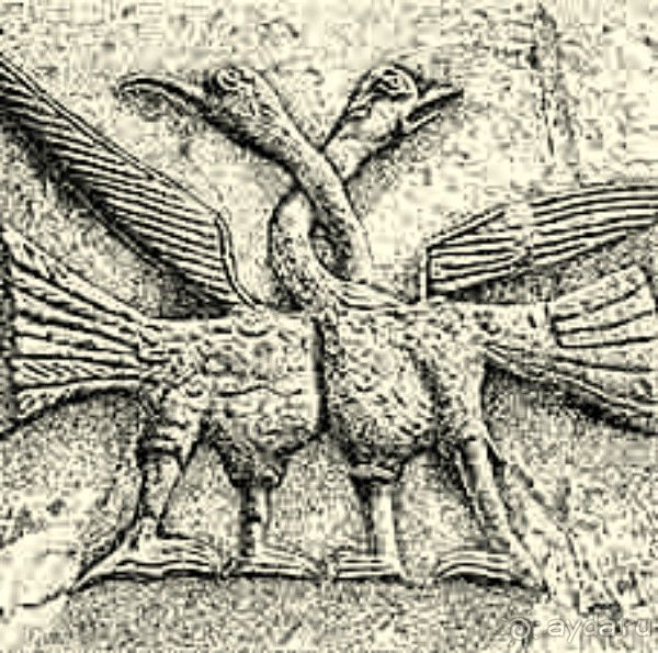 Город Владимир. Соборы. Боголюбово. Храм на Нерли.