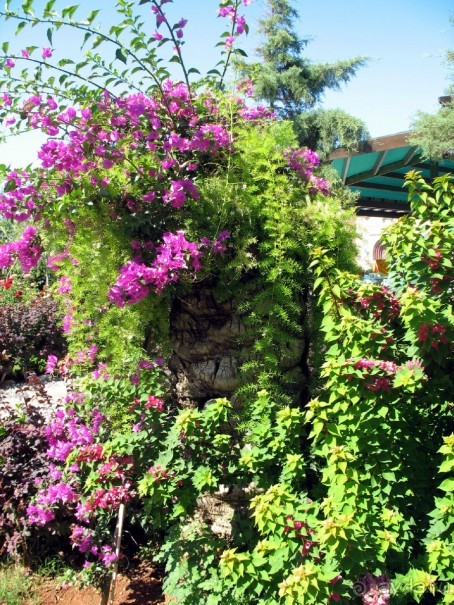 Хороший семейный отель,по евростандартам не выше 4*