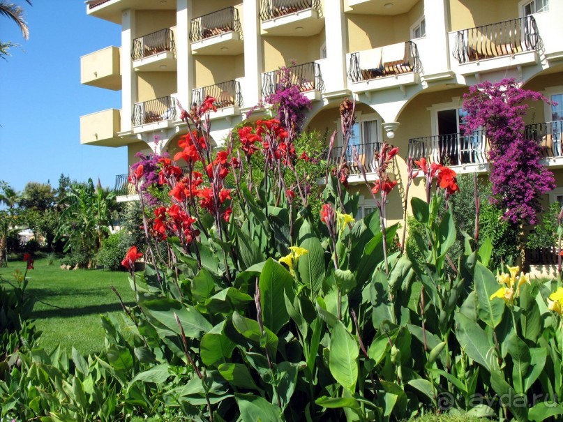 Хороший семейный отель,по евростандартам не выше 4*