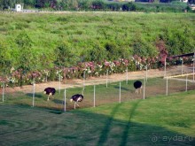 Хороший семейный отель,по евростандартам не выше 4*