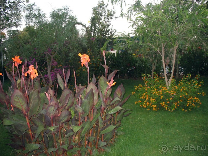 Хороший семейный отель,по евростандартам не выше 4*