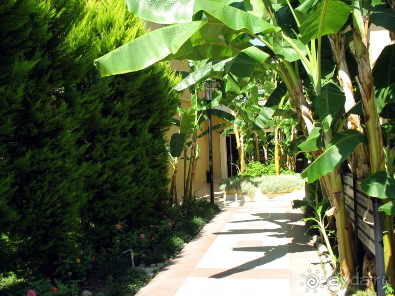 Хороший семейный отель,по евростандартам не выше 4*