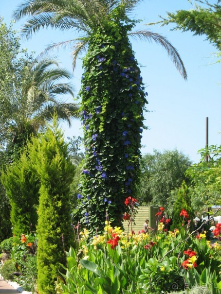 Хороший семейный отель,по евростандартам не выше 4*