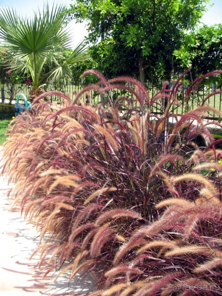 Хороший семейный отель,по евростандартам не выше 4*