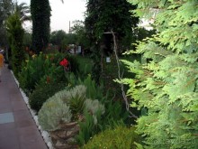 Хороший семейный отель,по евростандартам не выше 4*