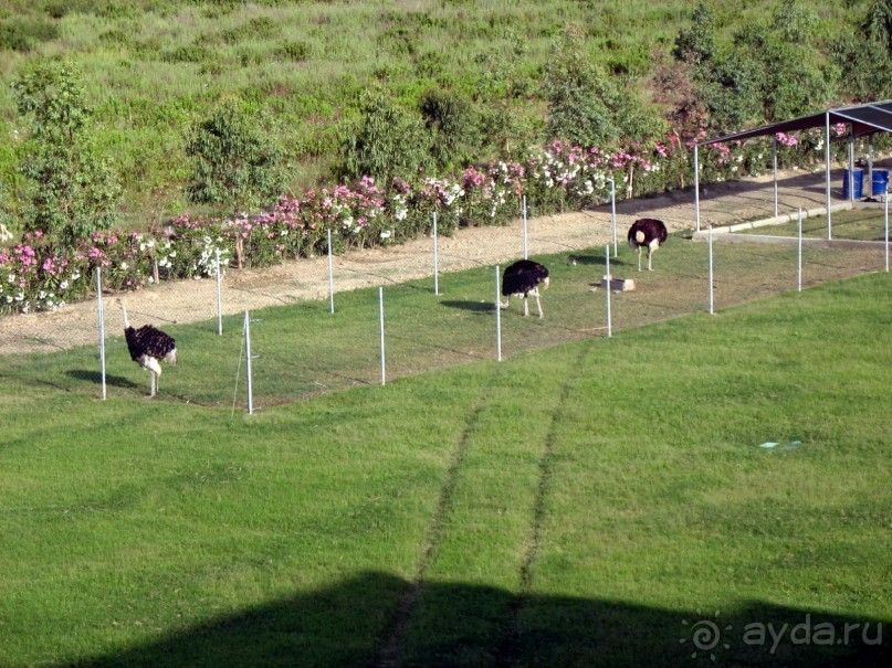 Хороший семейный отель,по евростандартам не выше 4*