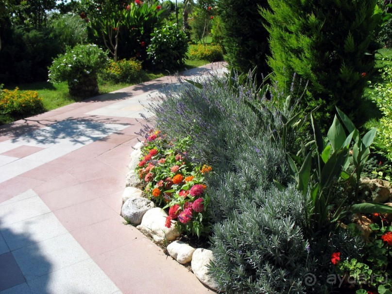 Хороший семейный отель,по евростандартам не выше 4*