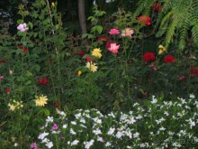 Хороший семейный отель,по евростандартам не выше 4*