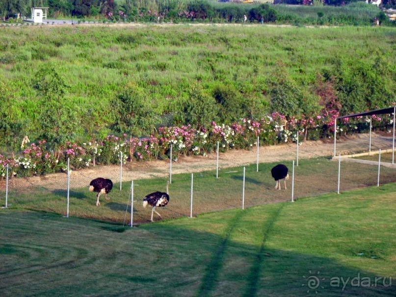 Хороший семейный отель,по евростандартам не выше 4*