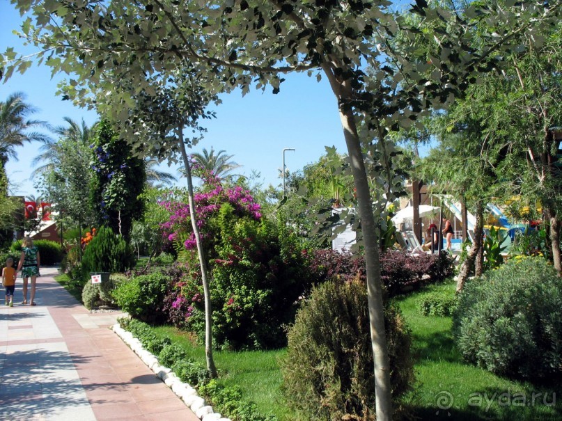 Хороший семейный отель,по евростандартам не выше 4*