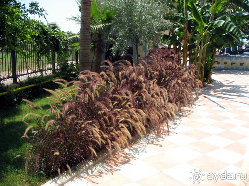 Хороший семейный отель,по евростандартам не выше 4*