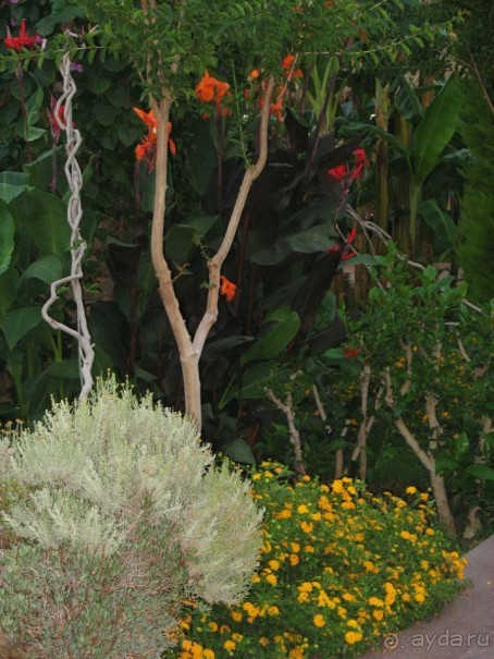 Хороший семейный отель,по евростандартам не выше 4*