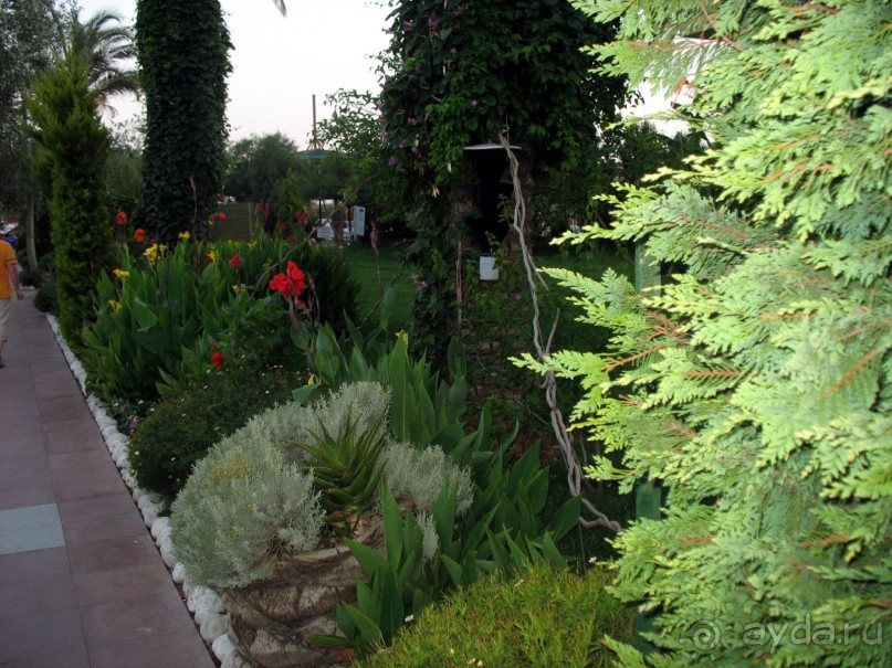 Хороший семейный отель,по евростандартам не выше 4*