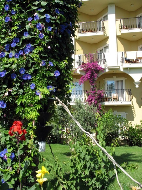 Хороший семейный отель,по евростандартам не выше 4*