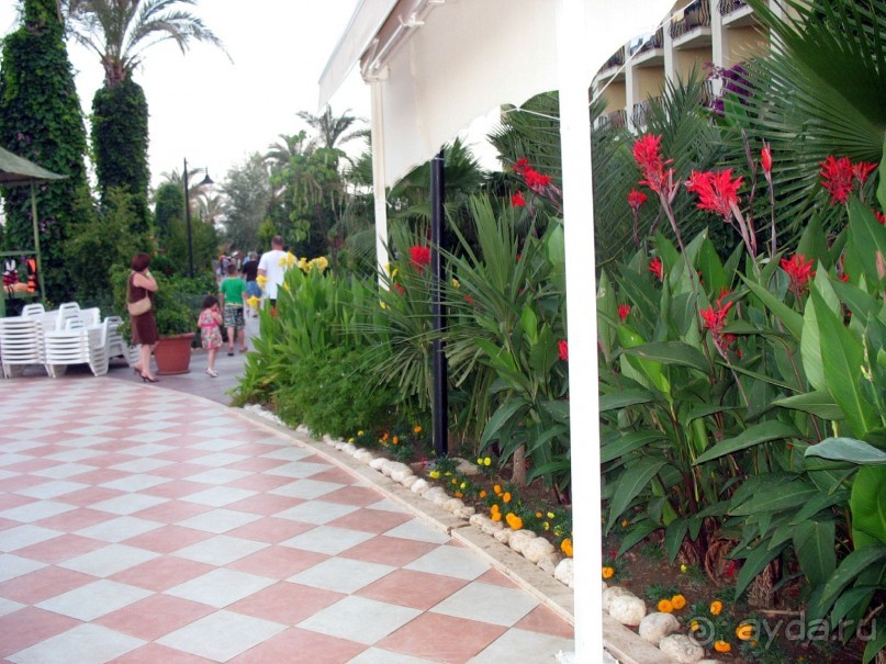 Хороший семейный отель,по евростандартам не выше 4*