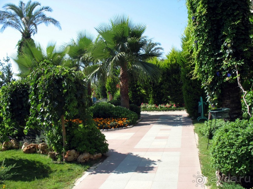 Хороший семейный отель,по евростандартам не выше 4*